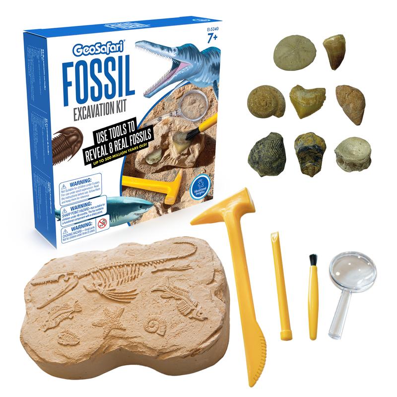 Educational Insights GeoSafari Fossil Excavation Kit, Kids Science Kit, Dinosaur Science Toy, Ages 7+