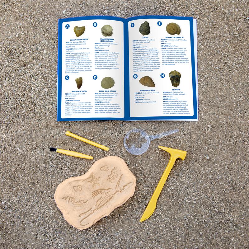 Educational Insights GeoSafari Fossil Excavation Kit, Kids Science Kit, Dinosaur Science Toy, Ages 7+