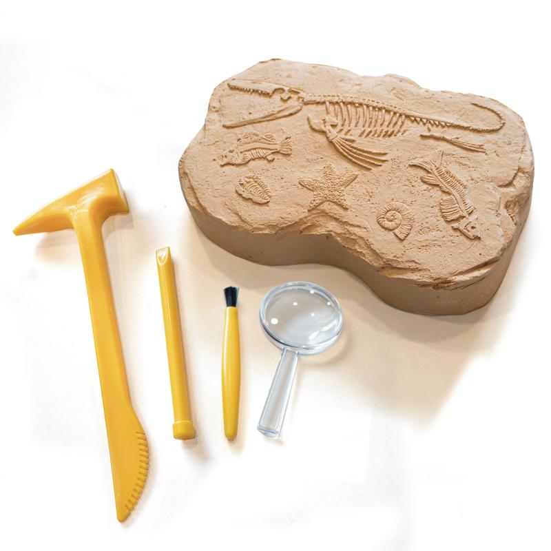 Educational Insights GeoSafari Fossil Excavation Kit, Kids Science Kit, Dinosaur Science Toy, Ages 7+