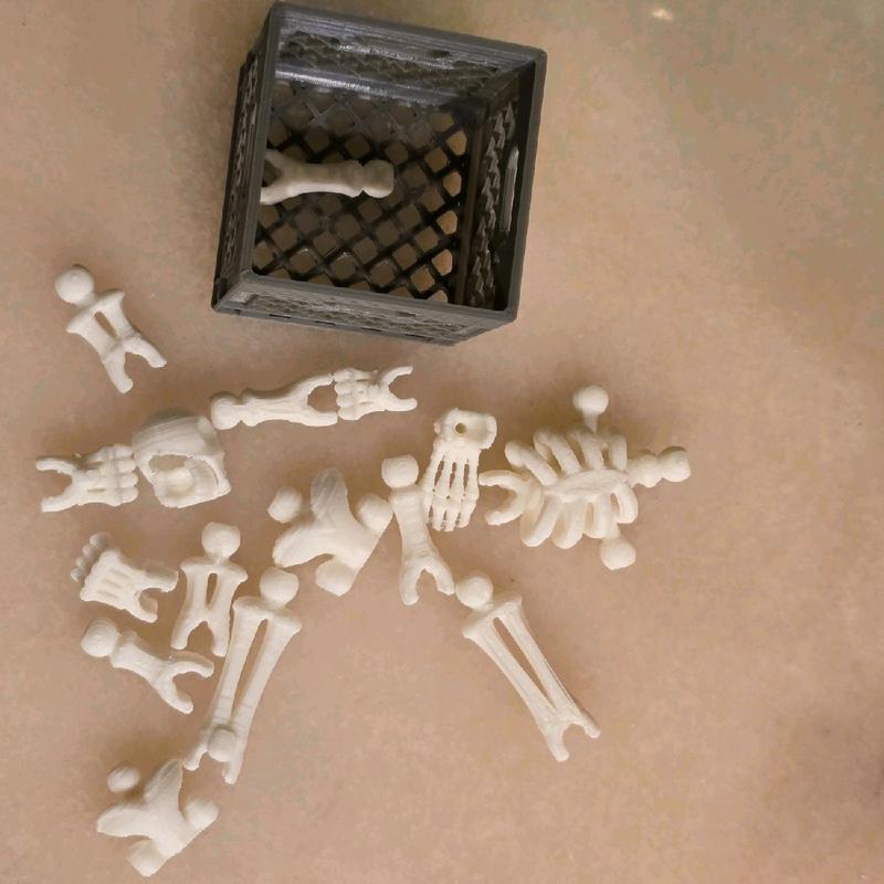 Miniature poseable Skeleton, 3d printed action figure puzzle toy creative animal Mini Pocket figurine home decor great gift