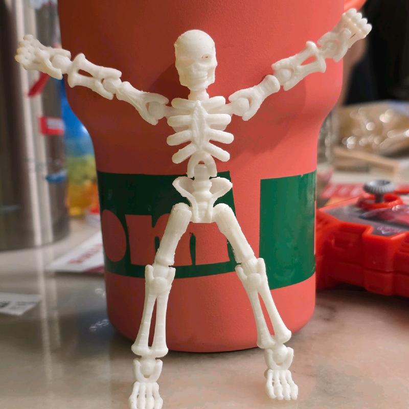 Miniature poseable Skeleton, 3d printed action figure puzzle toy creative animal Mini Pocket figurine home decor great gift