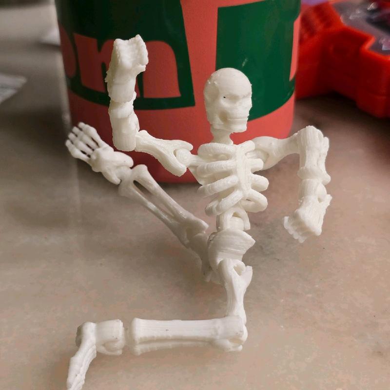 Miniature poseable Skeleton, 3d printed action figure puzzle toy creative animal Mini Pocket figurine home decor great gift