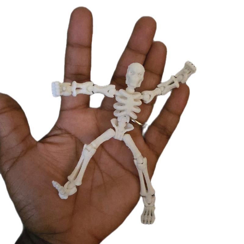 Miniature poseable Skeleton, 3d printed action figure puzzle toy creative animal Mini Pocket figurine home decor great gift