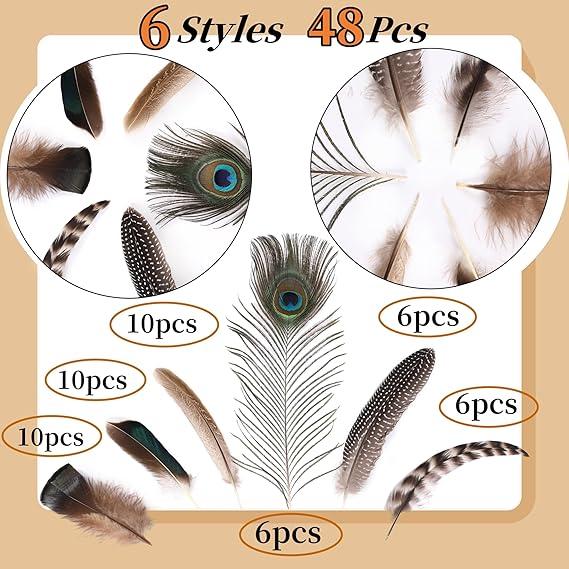 48pcs Natural Feathers Bulk -  Styles  Feathers, Peacock Feathers,