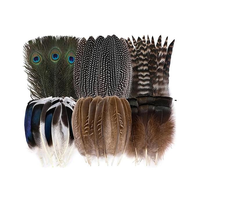 48pcs Natural Feathers Bulk -  Styles  Feathers, Peacock Feathers,