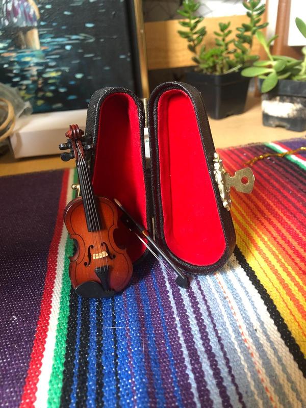 World's Smallest Violin Wooden Miniature Violin with Stand Bow and Case NEW