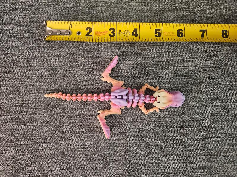 3D Printed Articulating Rainbow Flexi Skeleton T-Rex Figurine Great Gift and Desk Figure