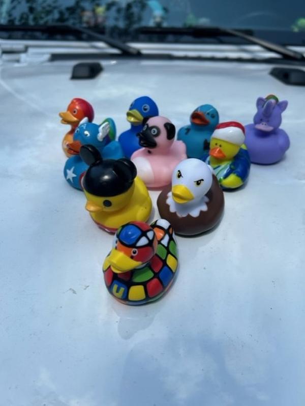 100 assorted rubber ducks