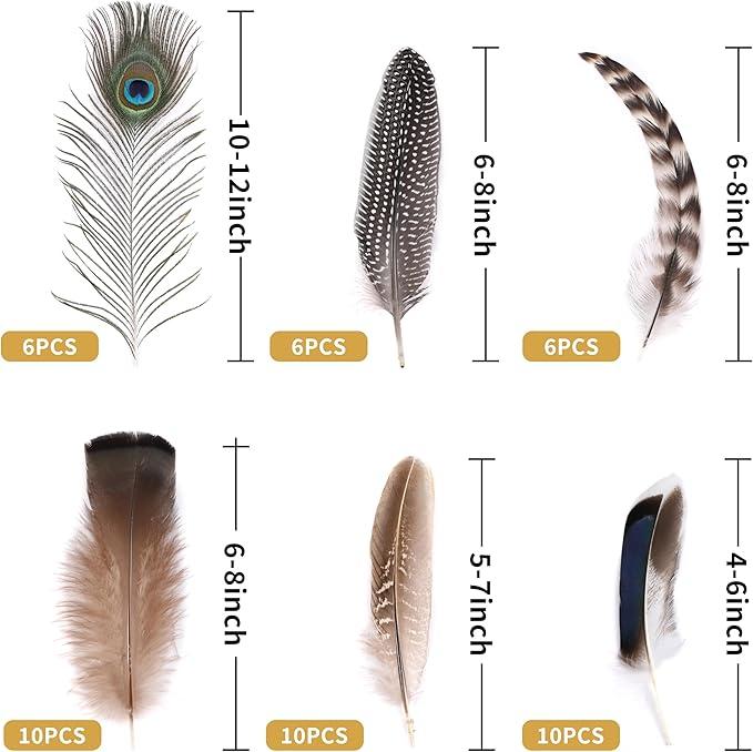 Holmgren 48pcs Natural Feathers Bulk - 6 Styles 48pcs Assorted Natural Feathers, Peacock Feathers, Pheasant Feathers, Turkey Feathers for Craft DIY Jewelry Hat Wedding Home Party Decoration