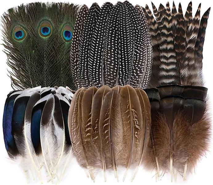 Holmgren 48pcs Natural Feathers Bulk - 6 Styles 48pcs Assorted Natural Feathers, Peacock Feathers, Pheasant Feathers, Turkey Feathers for Craft DIY Jewelry Hat Wedding Home Party Decoration