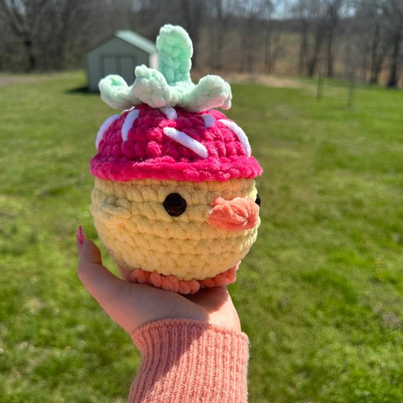 Crochet Chick Themed (choose one)