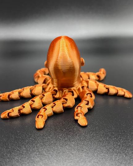 3D Printed Rocktopus, The Rock, Articulated Fidget, Dwayne Johnson, Octopus, Tinker Toy, Multiple sizes Small-Medium-Large-X-Large