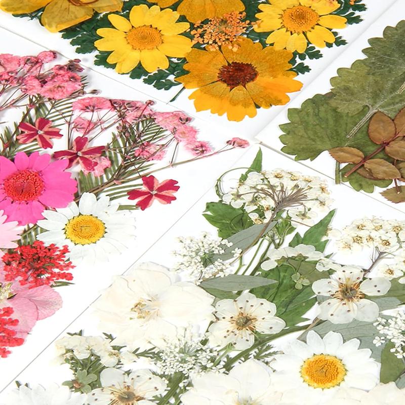 Dried Flower Set, 4 Packs Pressed Flowers for Resin Molds, Real Dried Flower Leaves for Resin Jewelry Making, Dry Flowers for Scrapbooking Crafts