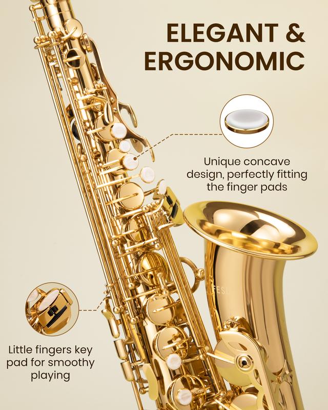 Fesley Saxophone E Flat Alto Saxophone: Saxofón Alto for Professional, Alto Sax for Beginners & Students