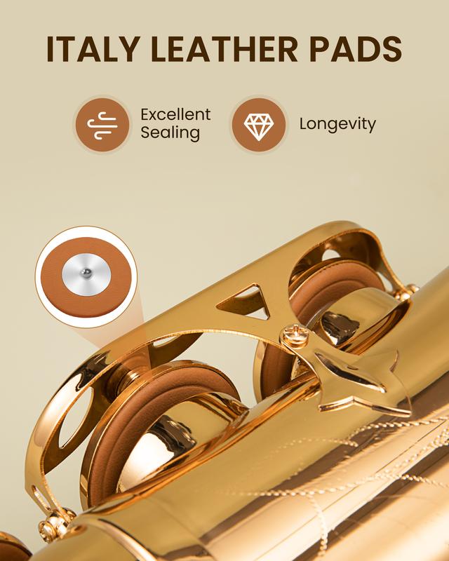 Fesley Saxophone E Flat Alto Saxophone: Saxofón Alto for Professional, Alto Sax for Beginners & Students