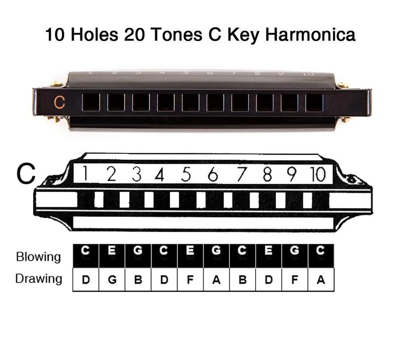 Blues Harmonica Mouth Organ 10 Hole C Key with Case, Diatonic Harmonica for Professional Player, Beginner, Students gifts, Adult, Friends, Gift Black