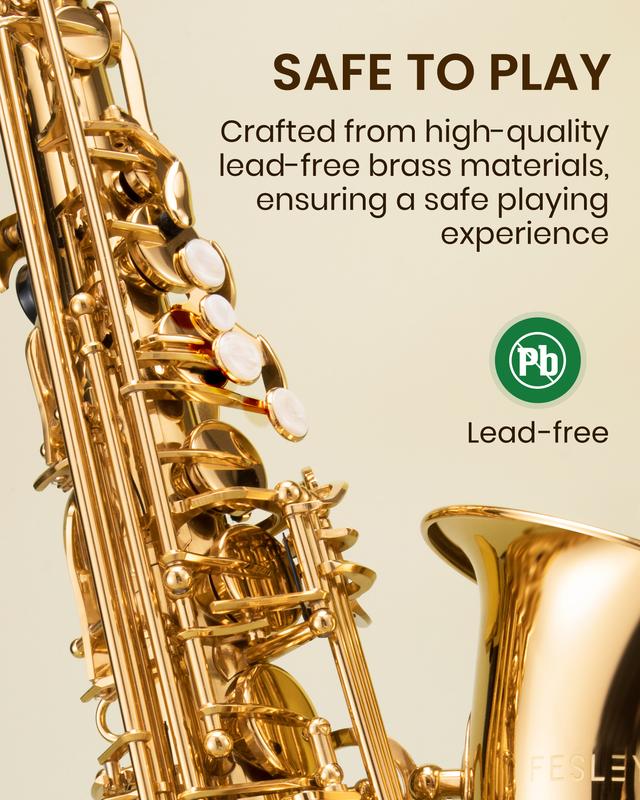 Fesley Saxophone E Flat Alto Saxophone: Saxofón Alto for Professional, Alto Sax for Beginners & Students