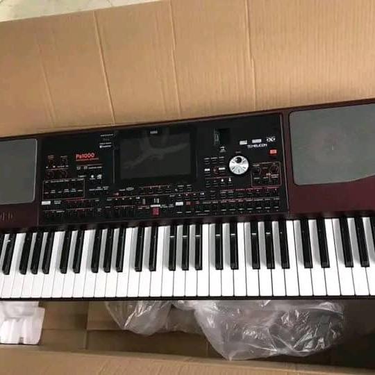 Korg PA1000 Keyboard - Professional Arpeggio Synthesizer player