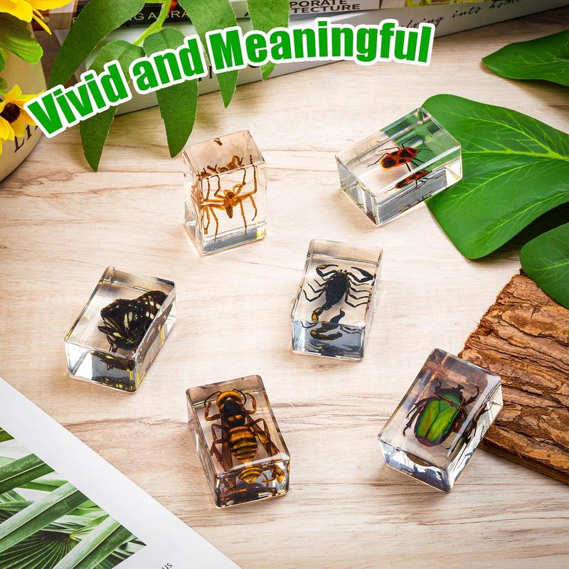 6 Styles Insect in Resin Specimen, Bugs Collection Paperweights Animal Specimen for Kids Bug Preserved in Resin for Scientific Education Office Desk Christmas Display Supplies