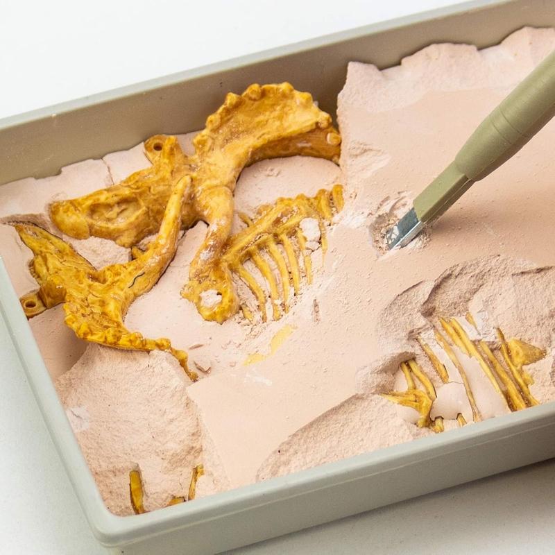 Science4you - Triceratops Fossil Digging Kit for Kids - Excavate and Assemble 10 Dinosaur Fossiles, Dinosaur Toys for Boys and Girls Age 6+, Dino Games, Dinosaur Gifts for 6+ Year Old Boys and Girls