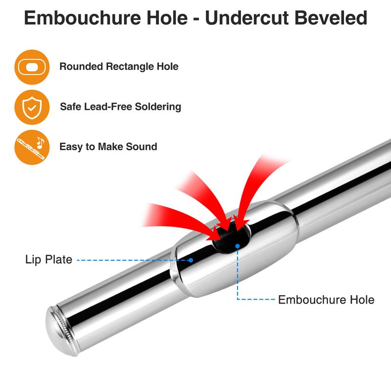 POGOLAB 16 Keys Open Hole C Flute, Flute Instrument for Beginner Advanced Player, Silver Plated, Student Flute with Case, Stand, Strap, Probe rod, Gloves, Adjustment Screwdriver, Cleaning Kit