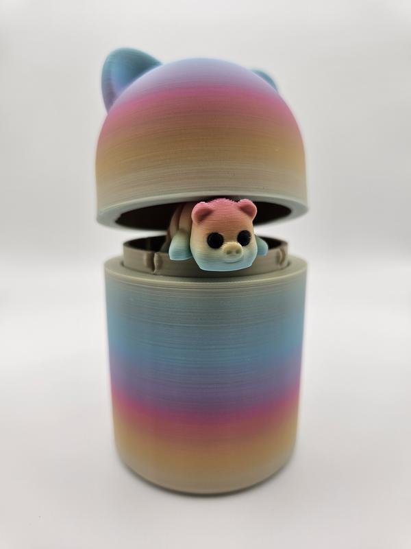 Rainbow Pocket Pets With Container | 3D Printed Articulating Mini Fidget Animals Great Gift and Desk Figure