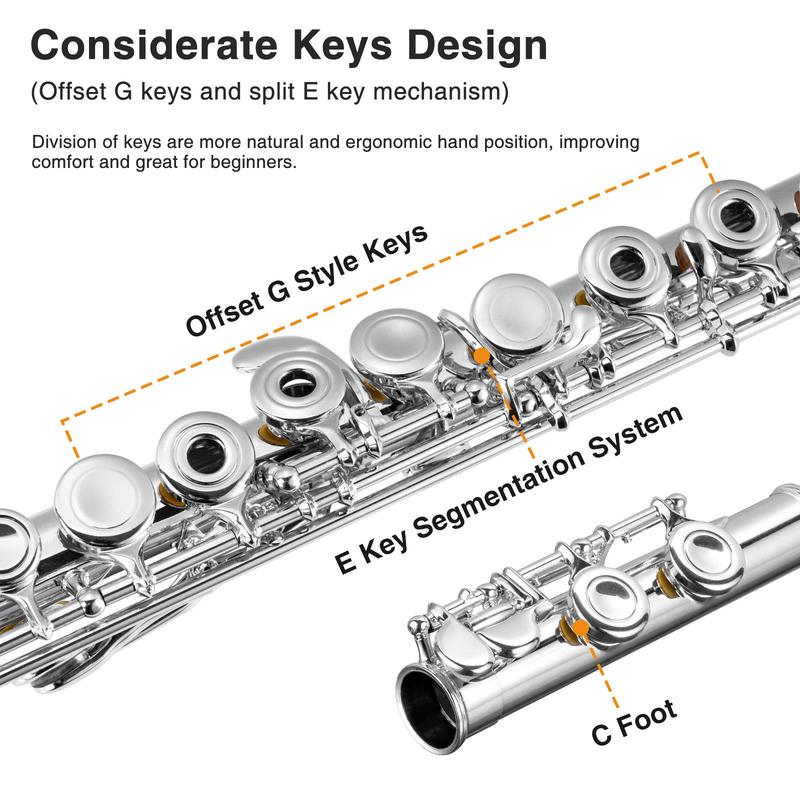 POGOLAB 16 Keys Open Hole C Flute, Flute Instrument for Beginner Advanced Player, Silver Plated, Student Flute with Case, Stand, Strap, Probe rod, Gloves, Adjustment Screwdriver, Cleaning Kit