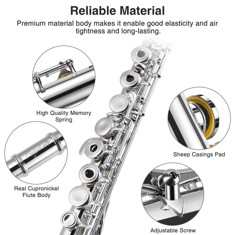 POGOLAB 16 Keys Open Hole C Flute, Flute Instrument for Beginner Advanced Player, Silver Plated, Student Flute with Case, Stand, Strap, Probe rod, Gloves, Adjustment Screwdriver, Cleaning Kit